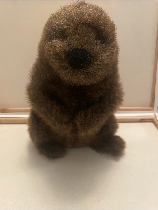 Other - Chuckwood The Woodchuck Retired Douglas Plush stuffed animal brown realistic